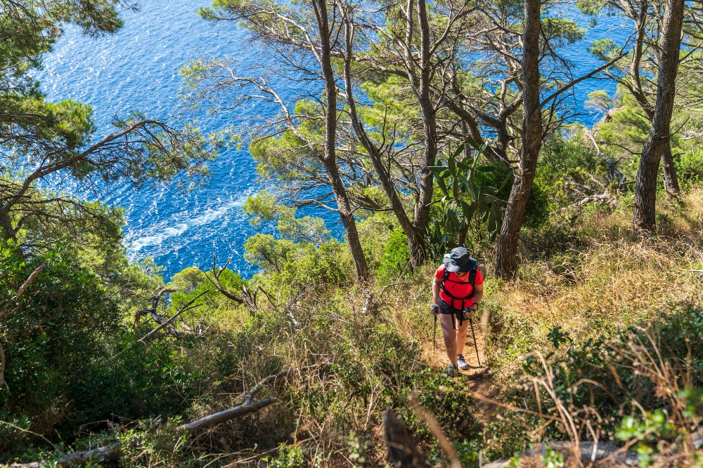 Lecci di Soviore - Escursioni e Trekking Cinque Terre